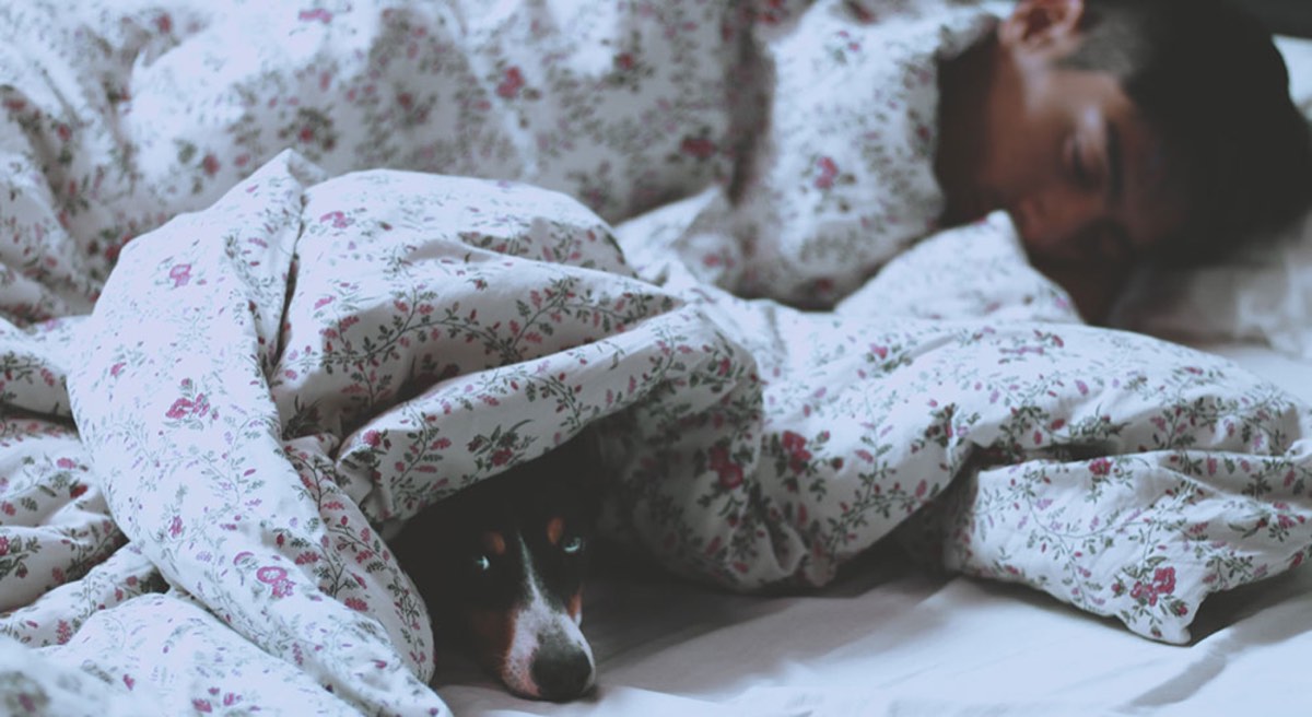Man sleep with his dog name Pinta