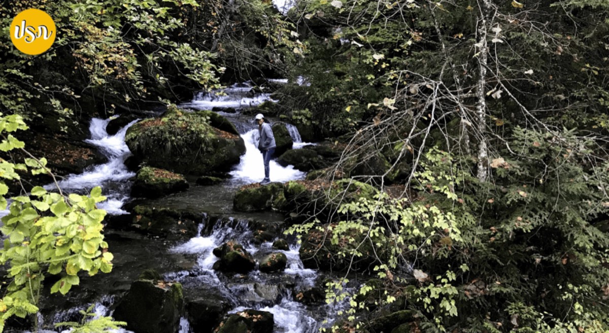 Unseen Switzerland: รีวิว Giessbach Waterfalls