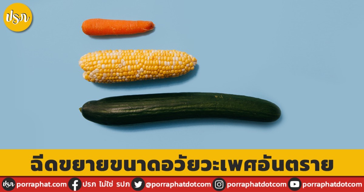 carrot corn cucumber