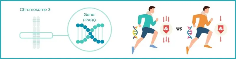 content Geneus DNA 27