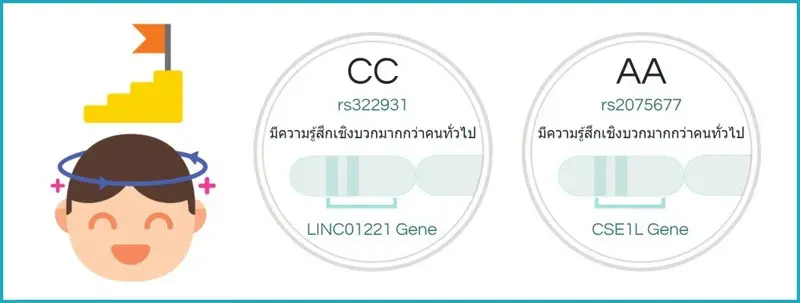 ความรู้สึกเชิงบวก \(Positive Affect\)